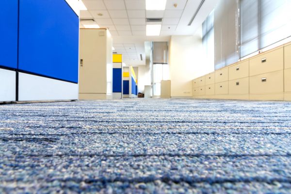 Business Carpet Cleaning in Santa Ana