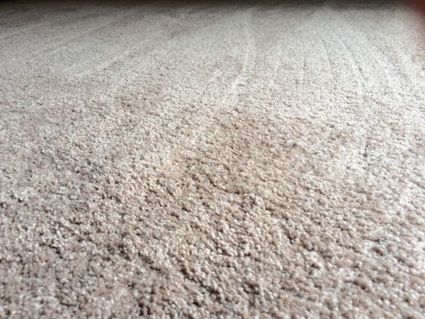 Plush Carpet Installation in Santa Ana