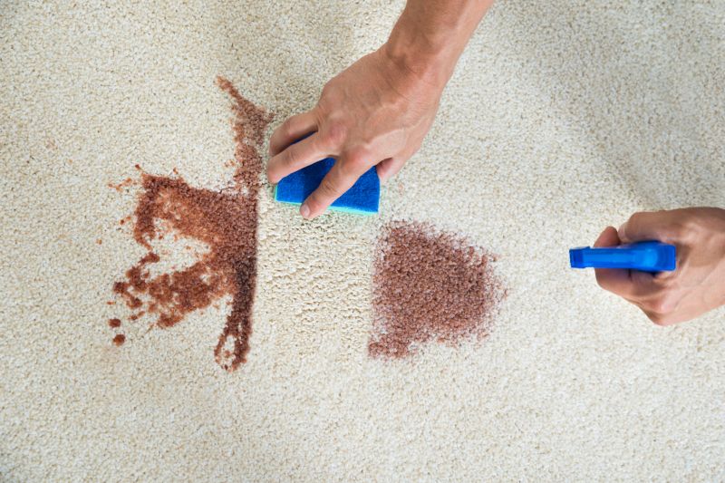 Stain & Spot Removal